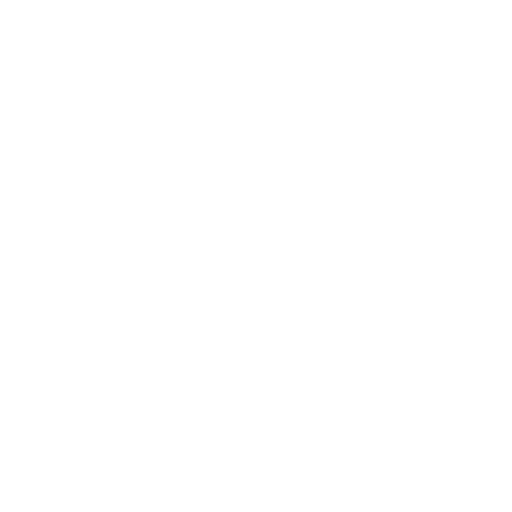Totally Seattle Tours