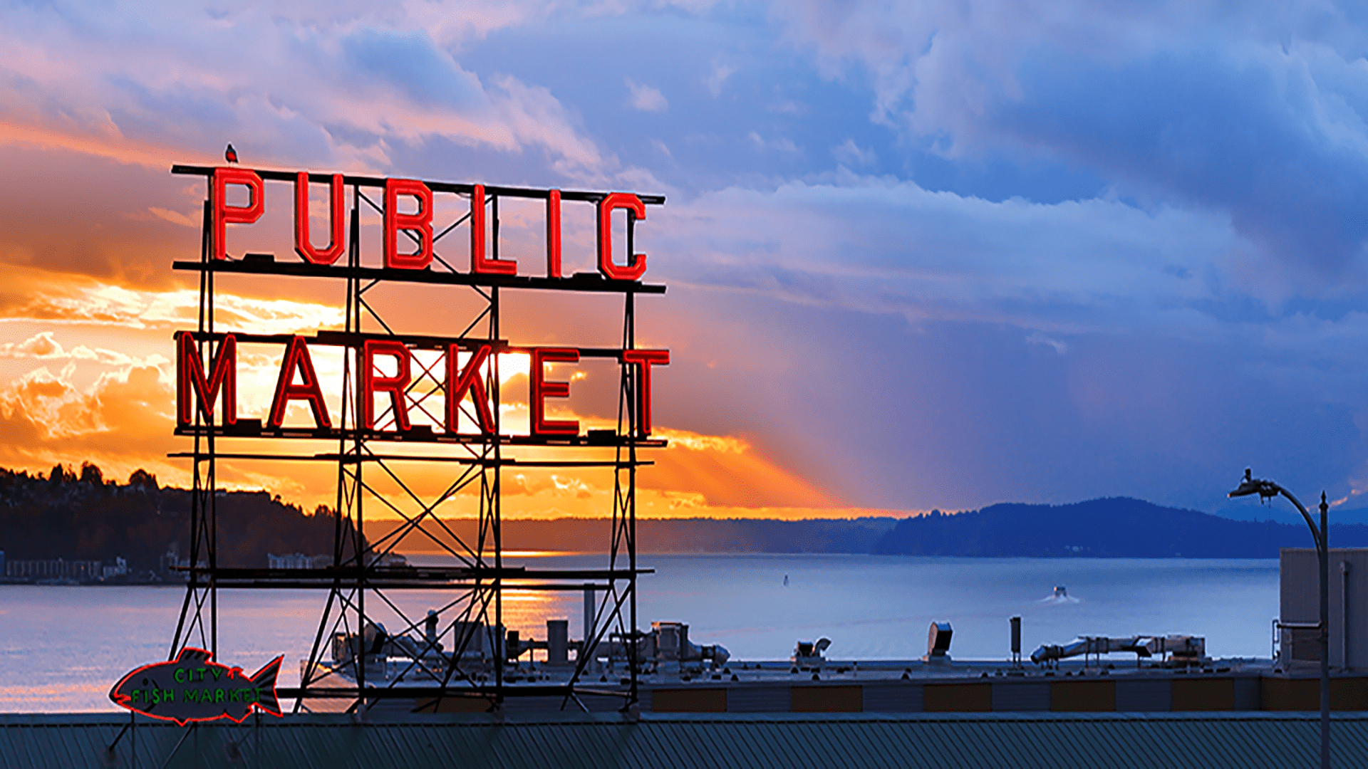 guided tours of seattle