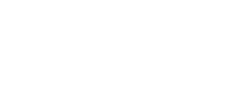 Logo with the Space Needle and a stylized flying bird, alongside the text "Totally Seattle & Beyond." Offering custom Seattle tours for an unforgettable adventure in the Emerald City.