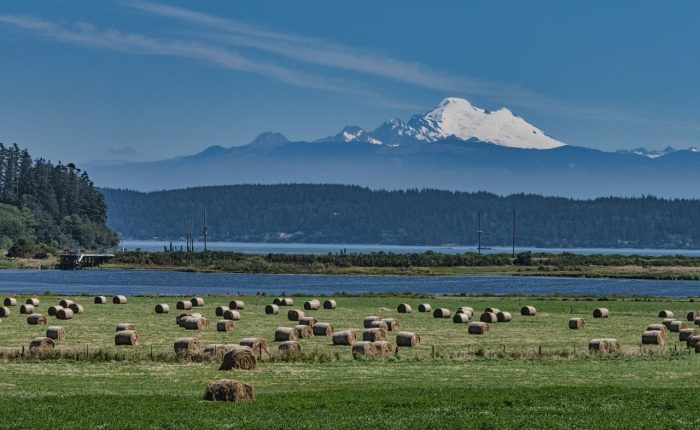 A field with hay bales sits in the foreground, bordered by a river. A snow-capped mountain rises in the background under a clear blue sky—a scene perfect for custom Seattle tours that offer unique sightseeing experiences.